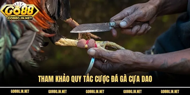 Tham khảo quy tắc cược đá gà cựa dao