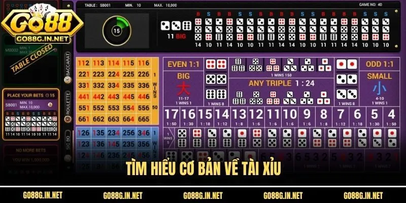 Tìm hiểu cơ bản về Tài xỉu